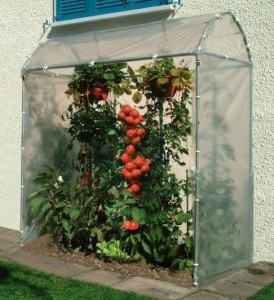 Tomatenhaus