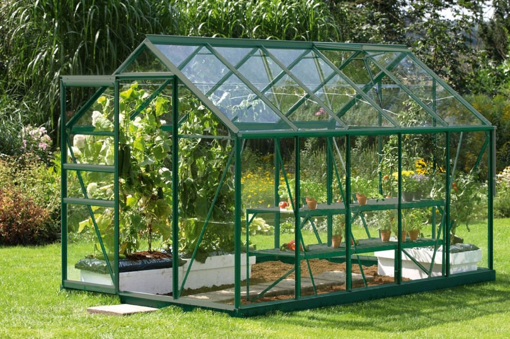 Gewächshaus Glas ProfiGewächshausProfiGewächshaus